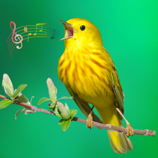 Animal & Bird Sounds Ringtones app icon